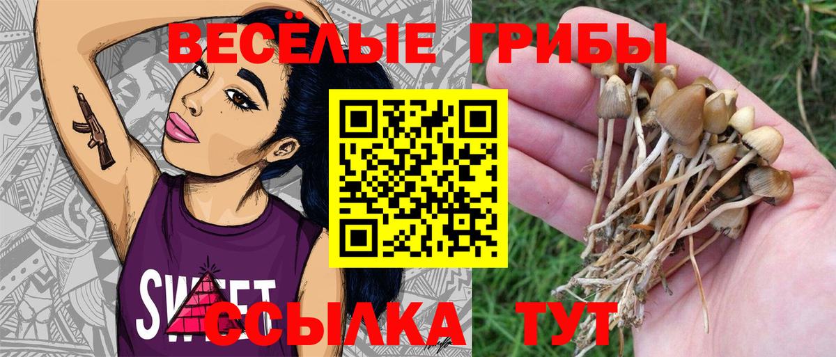 Псилоцибиновые грибы Magic Shrooms  Вход с VPN  Кропоткин 